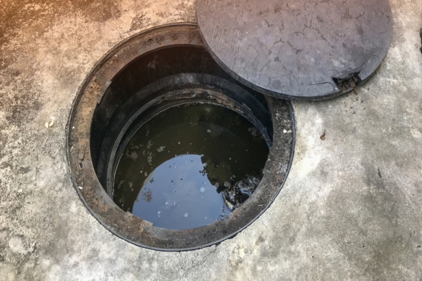 Biofilm and Organic Matter