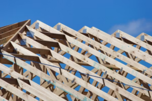 Roof Rafters Explained Birdsmouth Cuts, Spacing and Load Paths