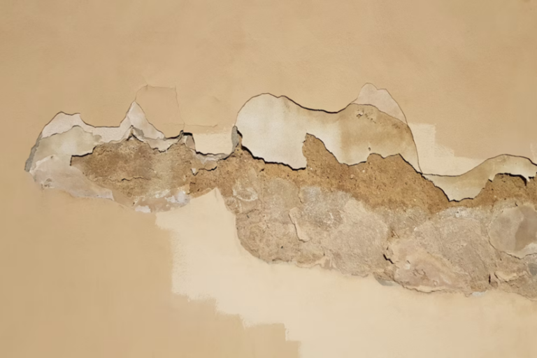 Penetrating Damp - Causes, Signs, and How to Find the Source